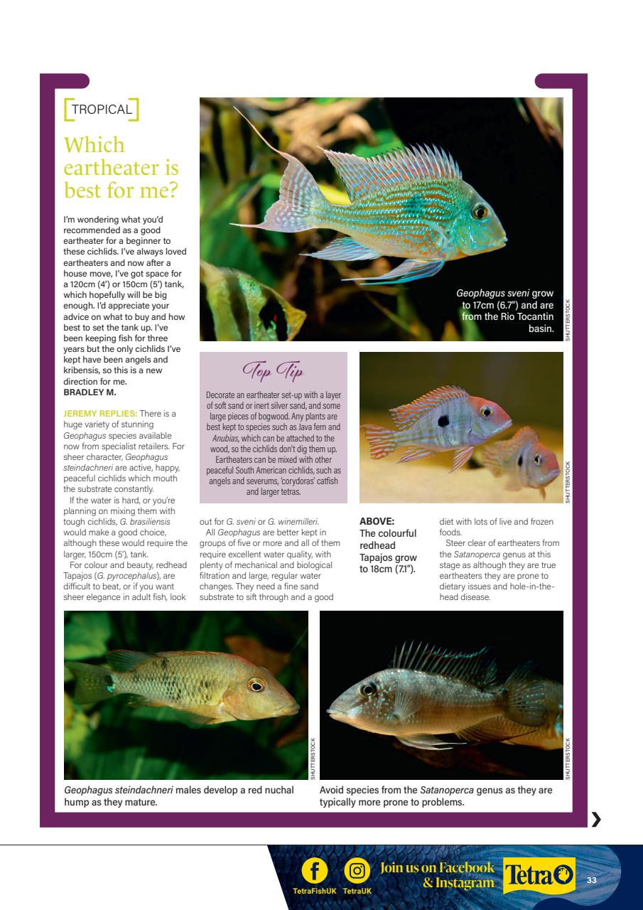 Practical Fishkeeping Preview Pages