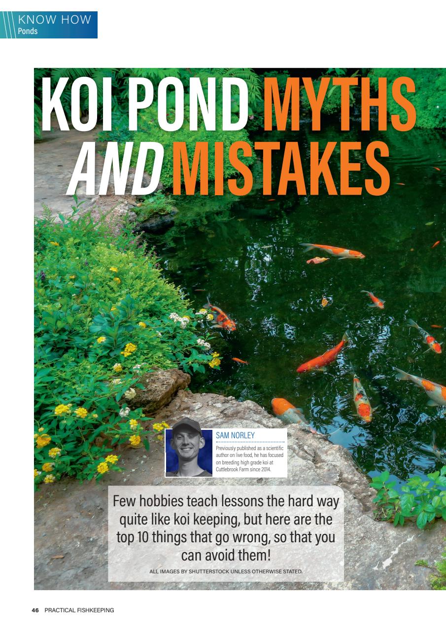 Practical Fishkeeping Preview Pages