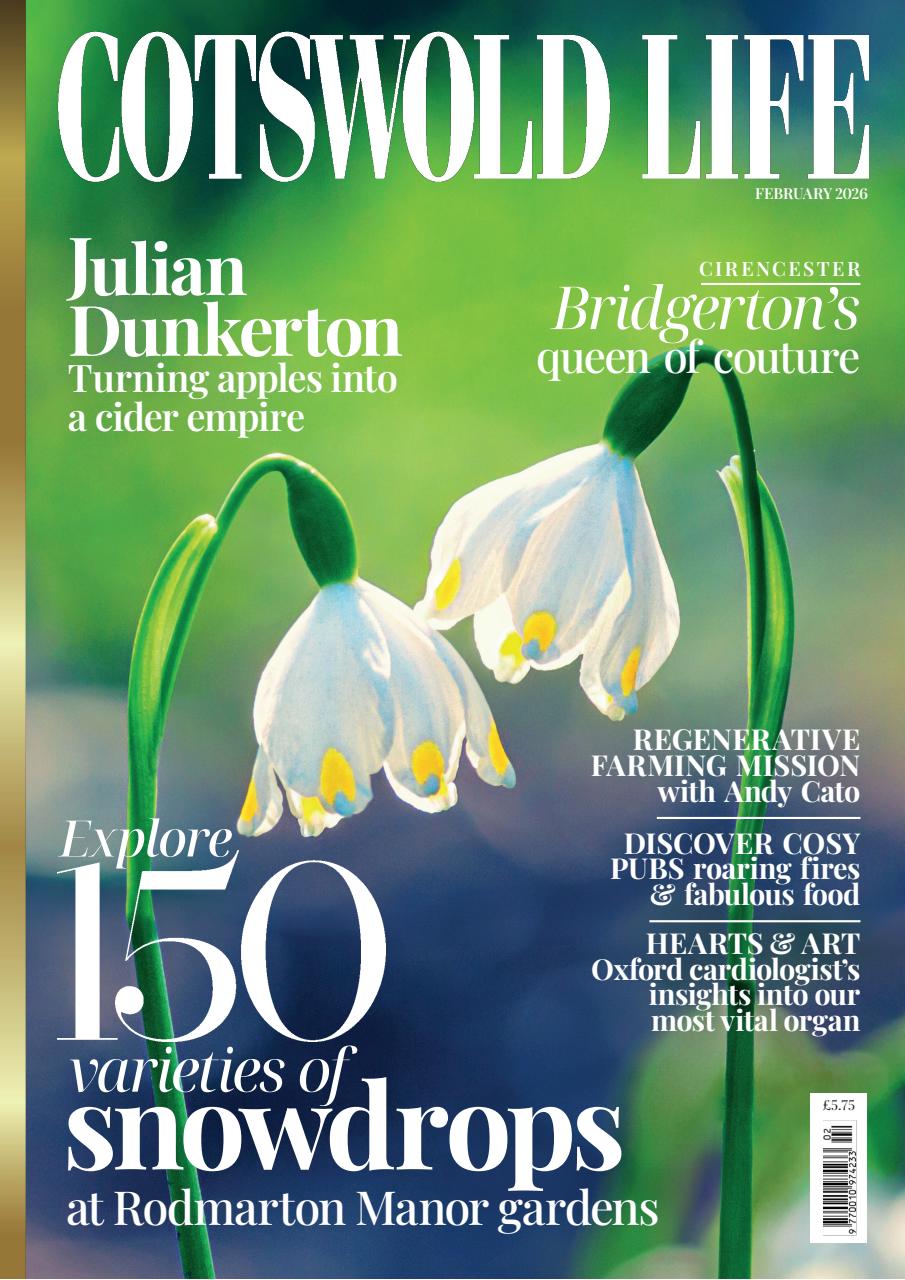 Cotswold Life Preview Pages