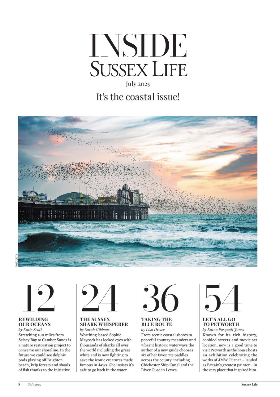 Sussex Life Preview Pages