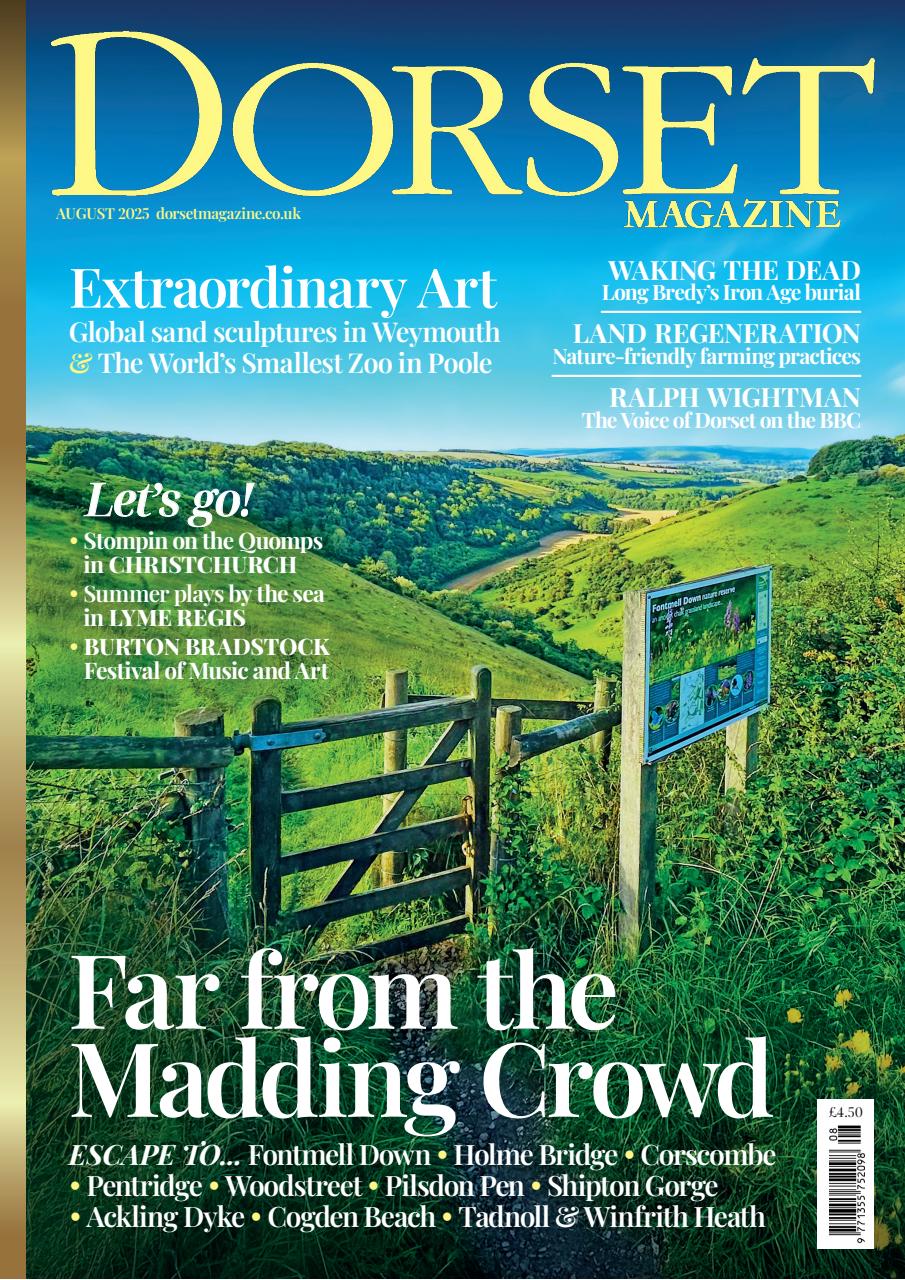 Dorset Magazine Preview Pages