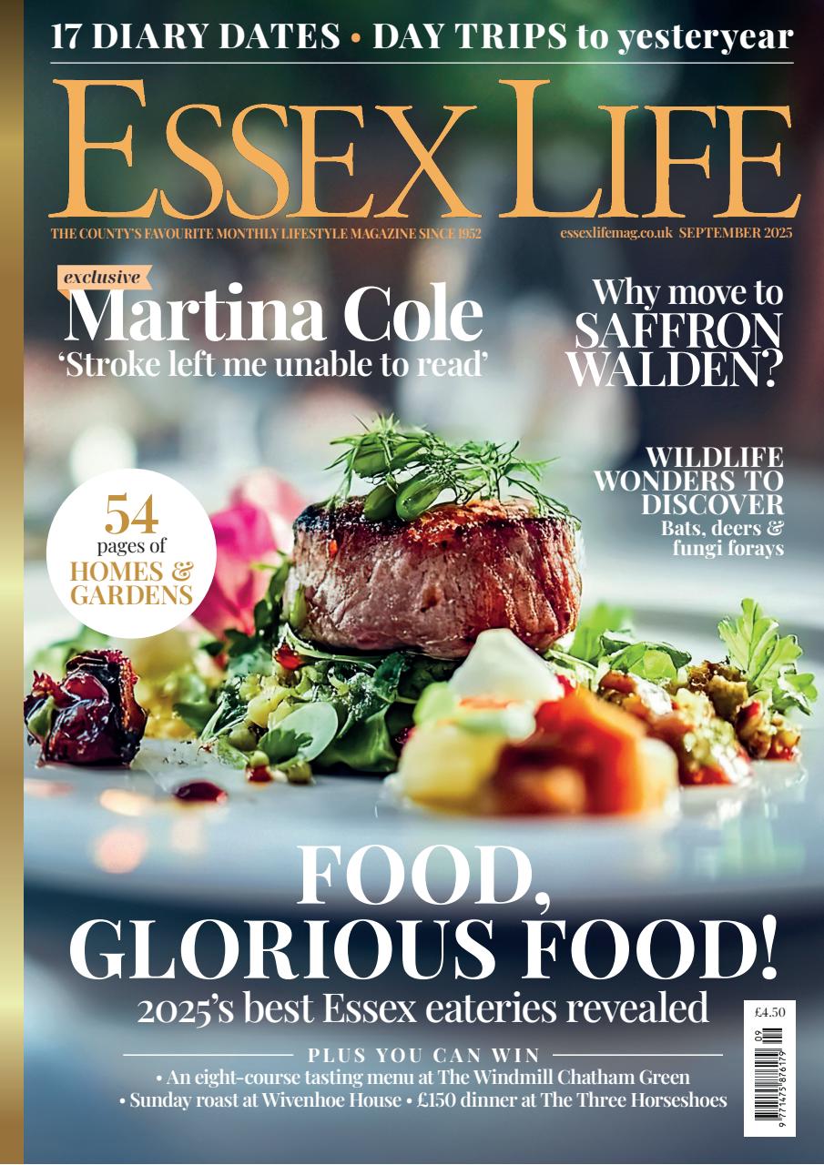 Essex Life Preview Pages