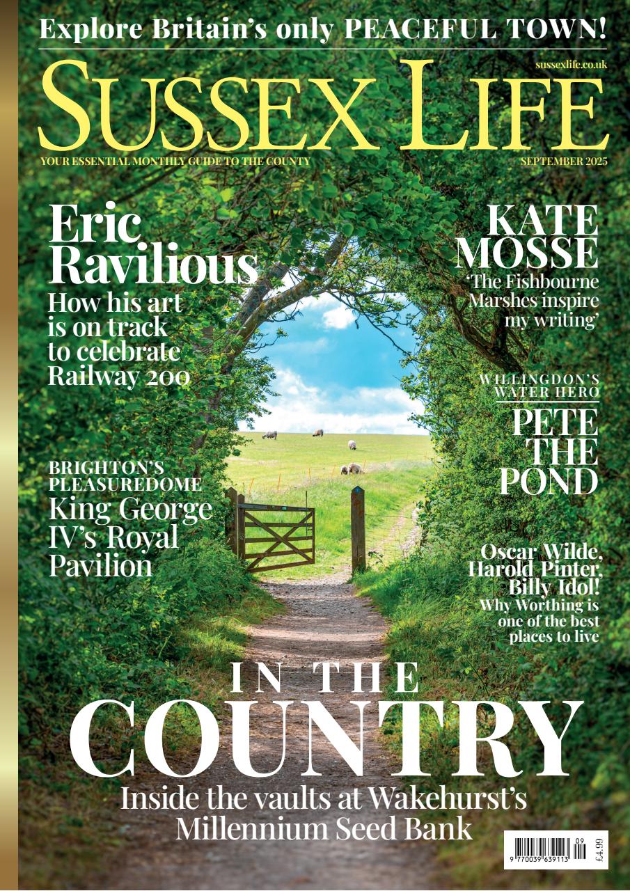 Sussex Life Preview Pages