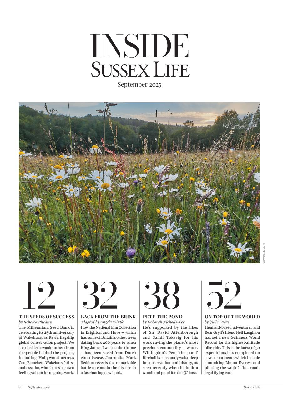 Sussex Life Preview Pages