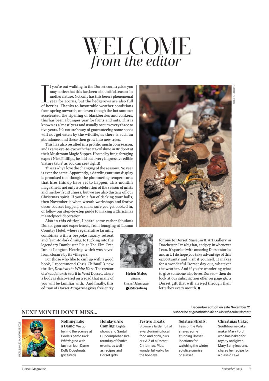Dorset Magazine Preview Pages