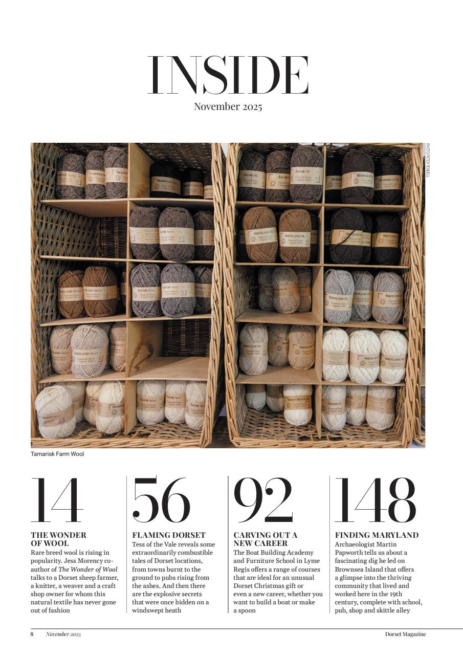 Dorset Magazine Preview Pages
