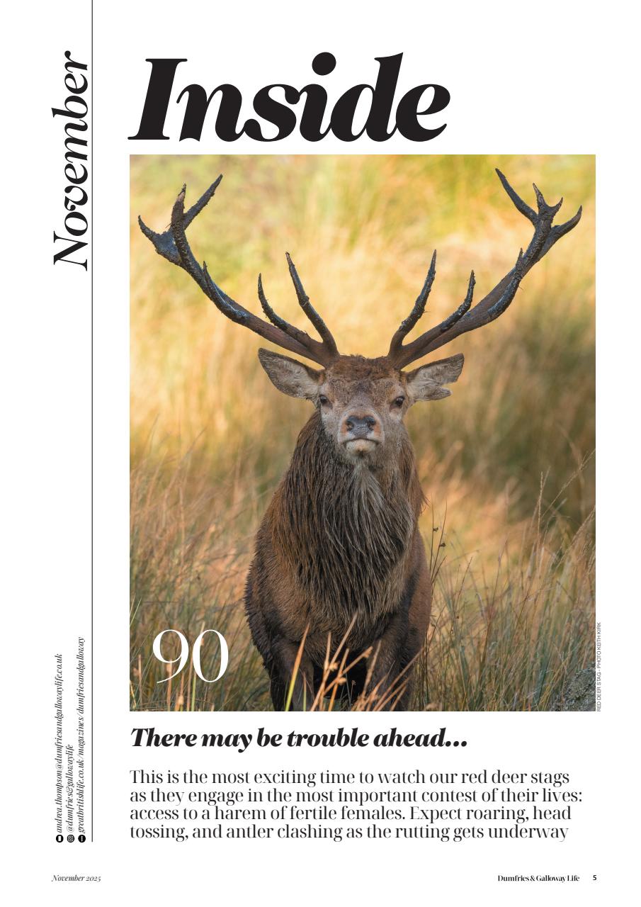 Dumfries & Galloway Life Preview Pages