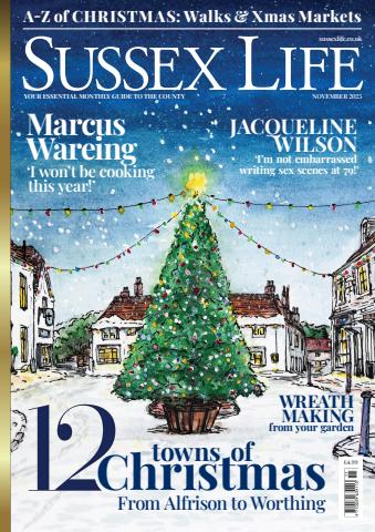 November 2025 issue November 2025