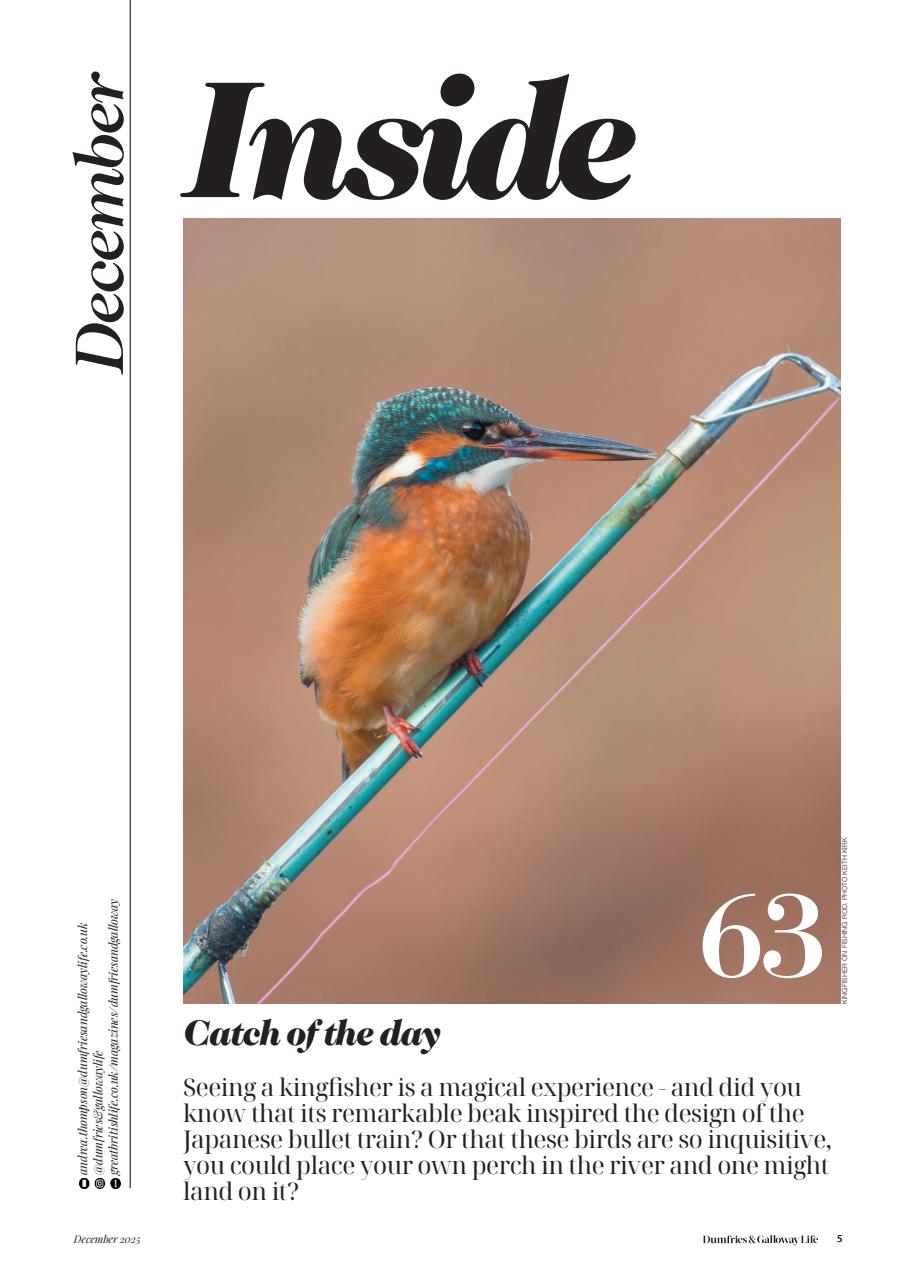 Dumfries & Galloway Life Preview Pages