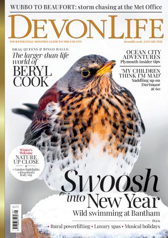 January 2026 issue January 2026