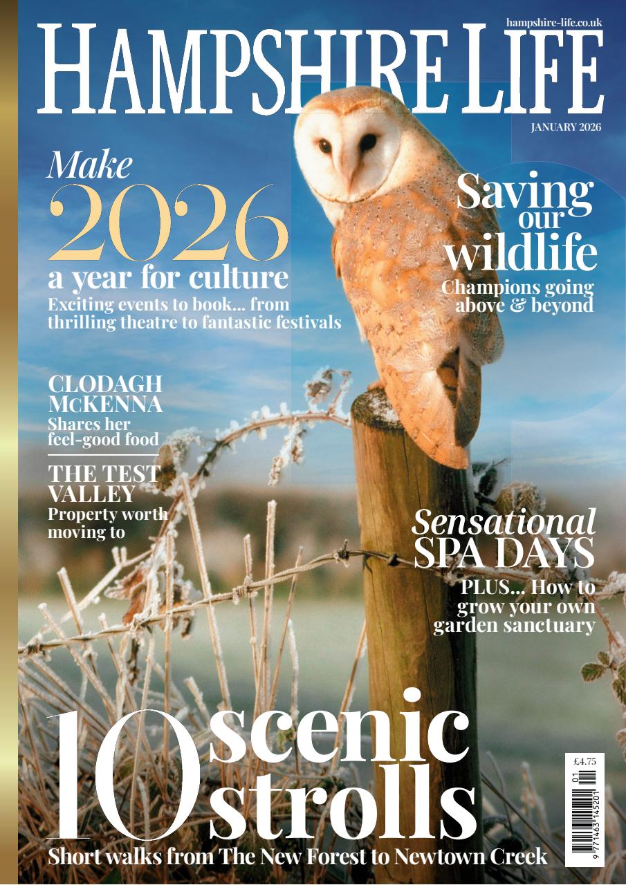 Hampshire Life Preview Pages