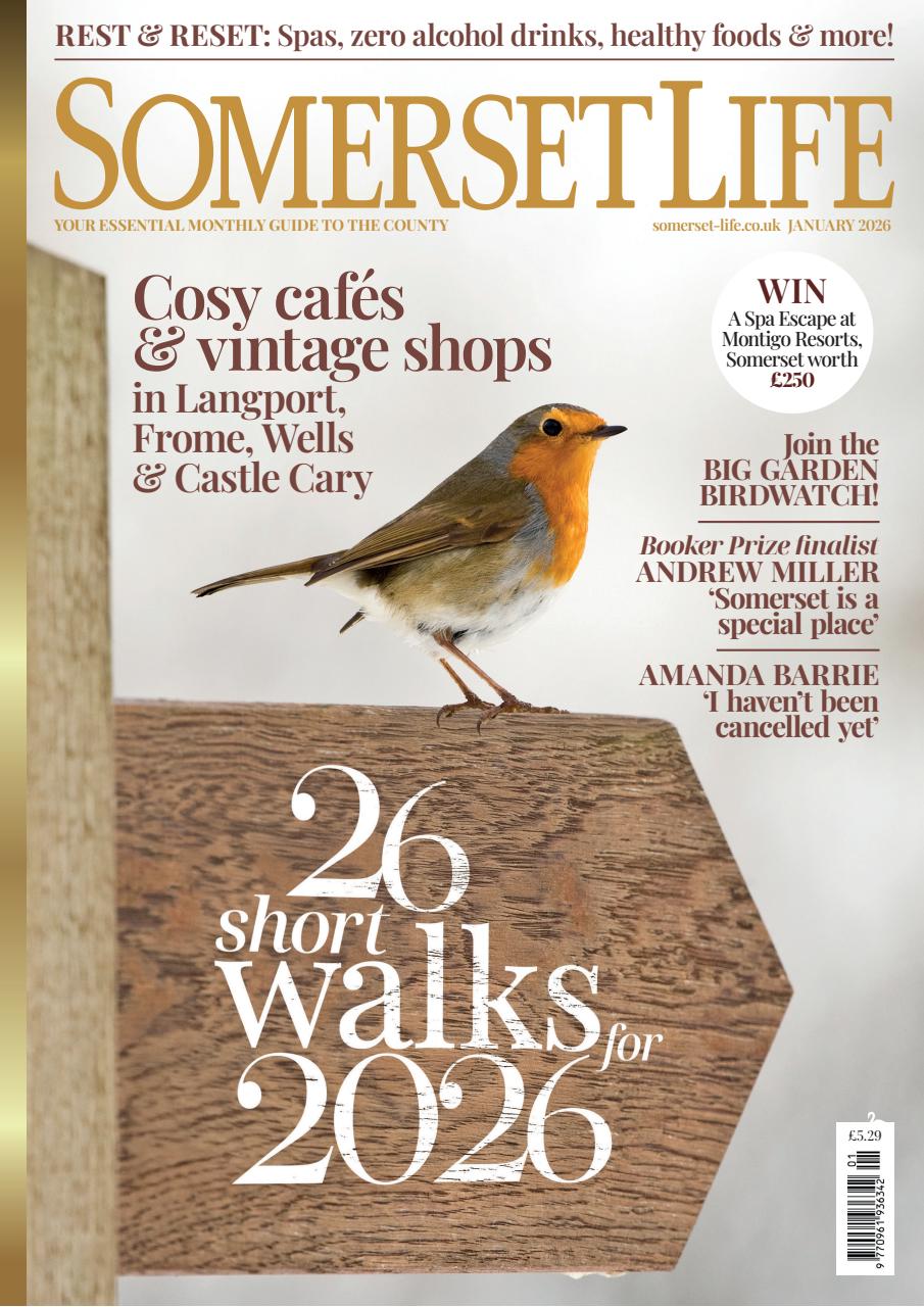 Somerset Life Preview Pages