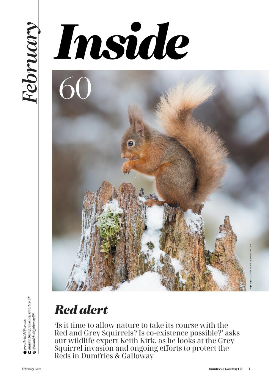 Dumfries & Galloway Life Preview Pages