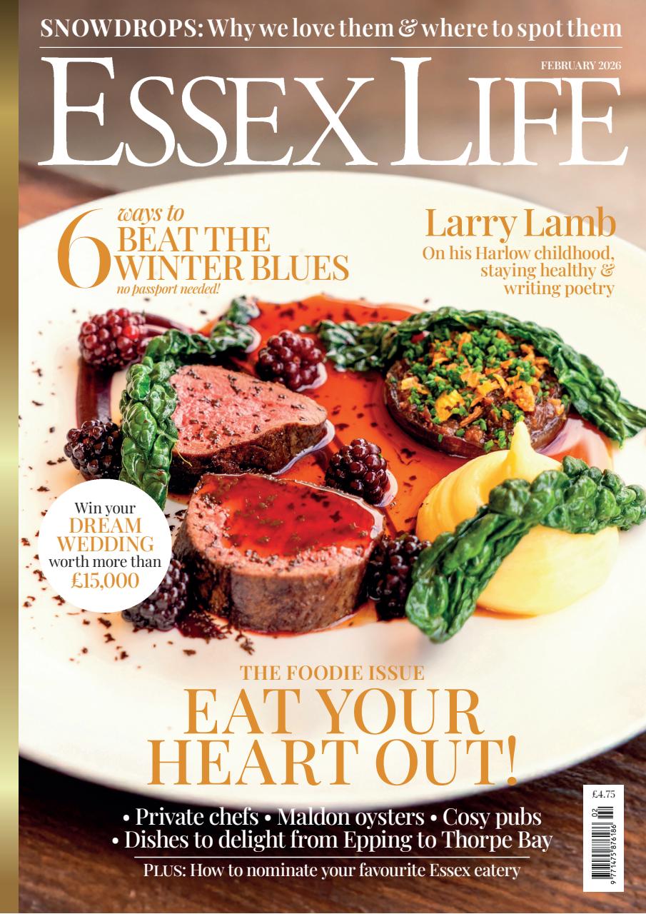 Essex Life Preview Pages