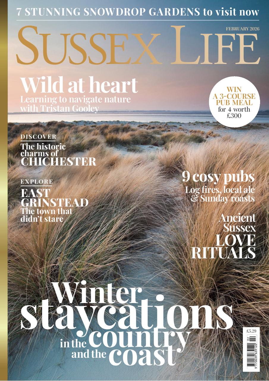 Sussex Life Preview Pages