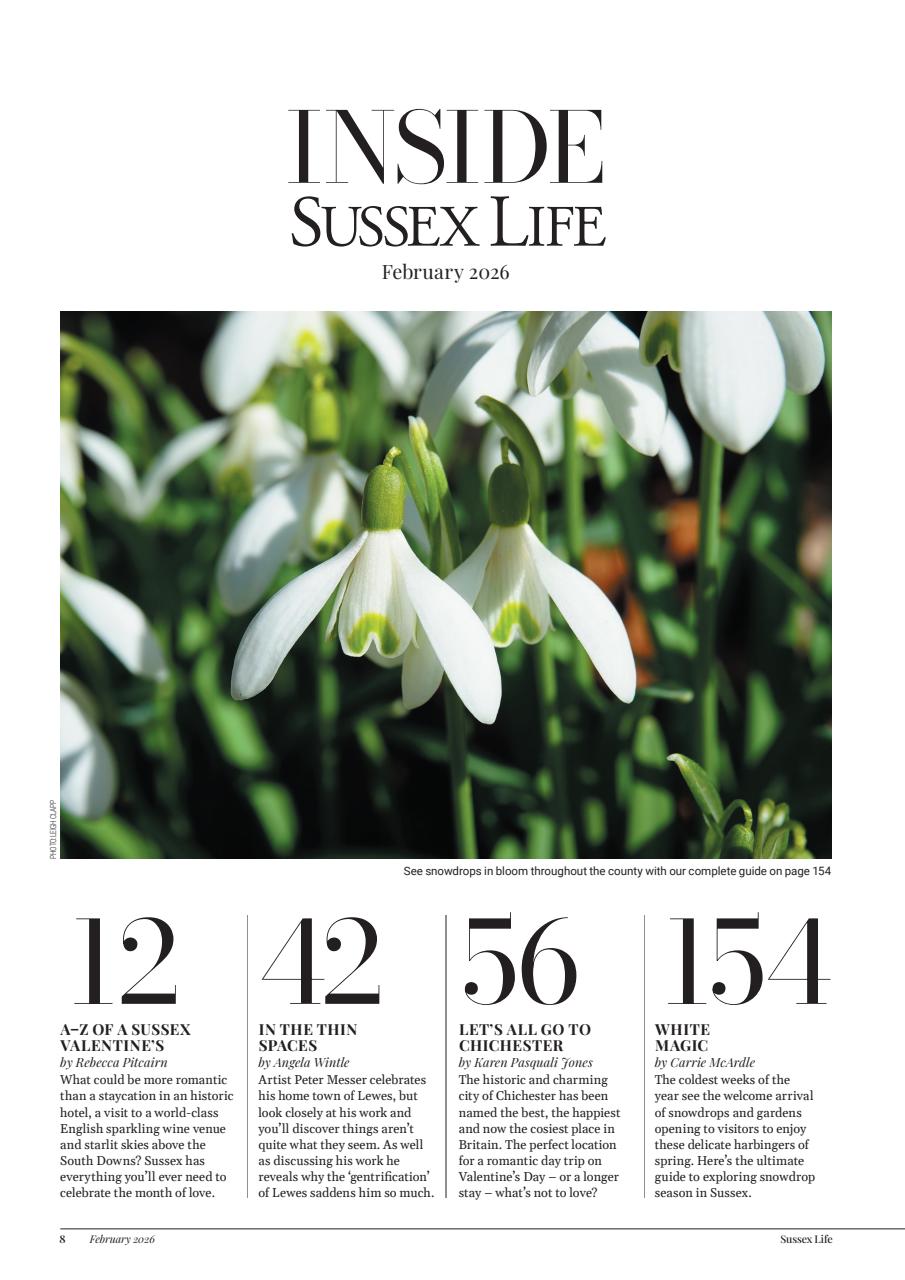 Sussex Life Preview Pages