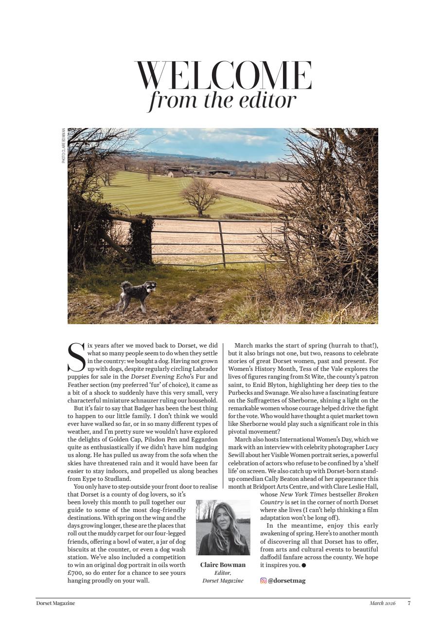 Dorset Magazine Preview Pages