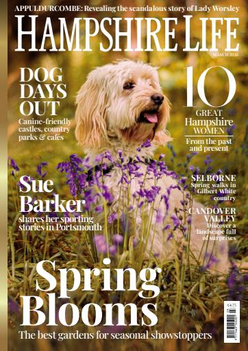 Hampshire Life issue 