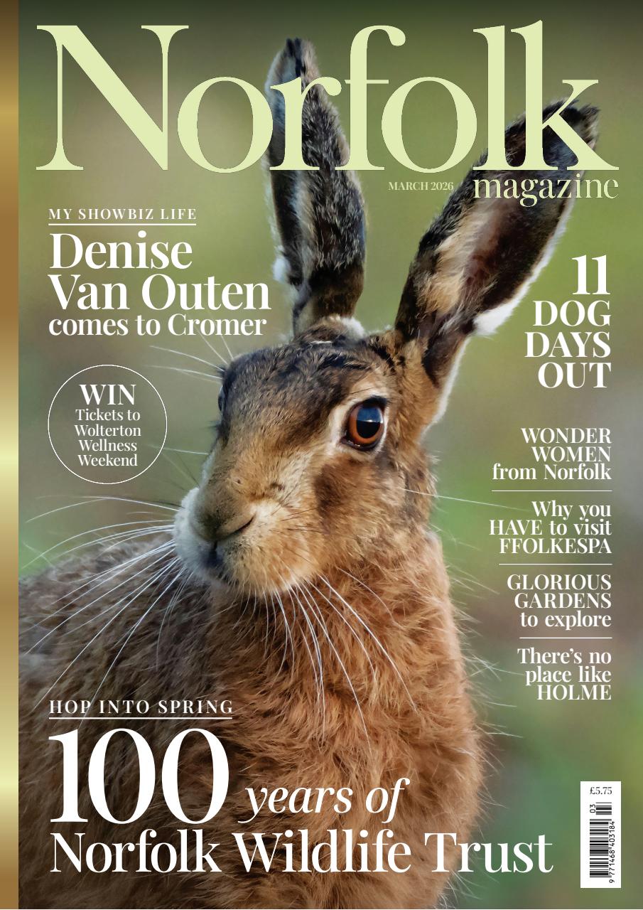 Norfolk Magazine Preview Pages