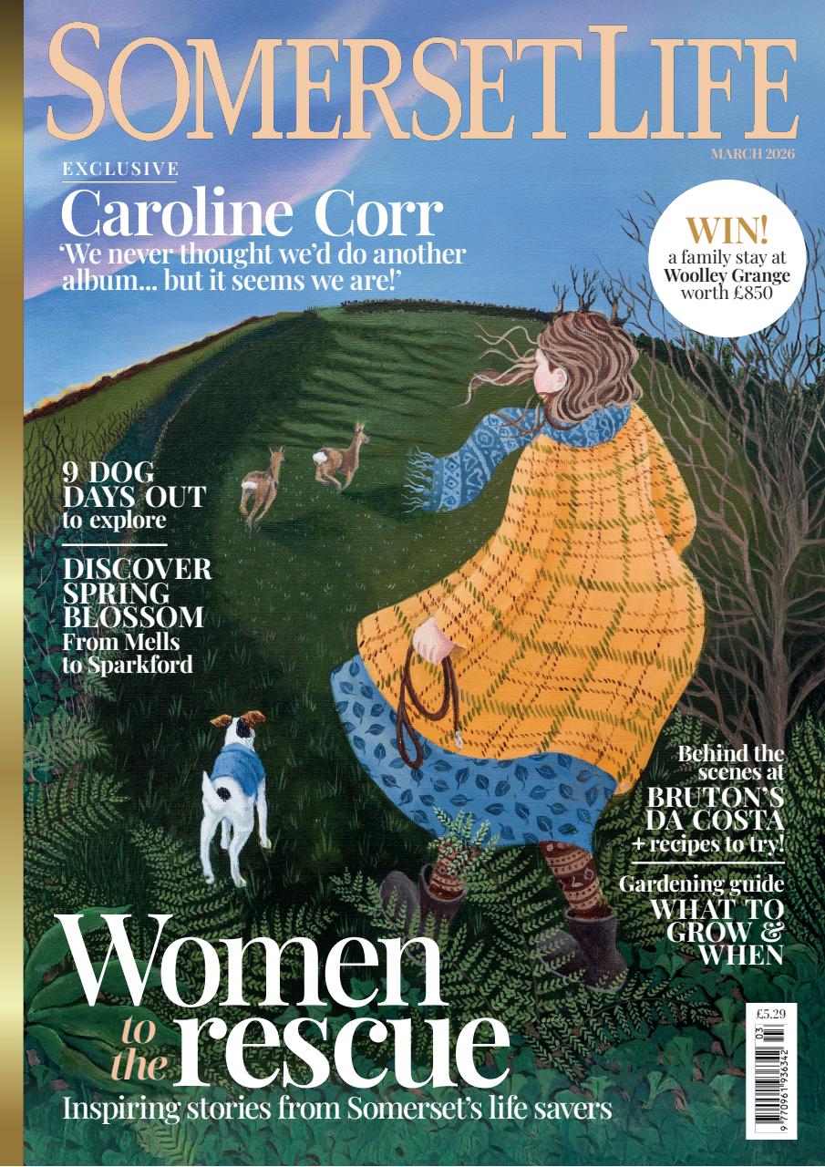 Somerset Life Preview Pages
