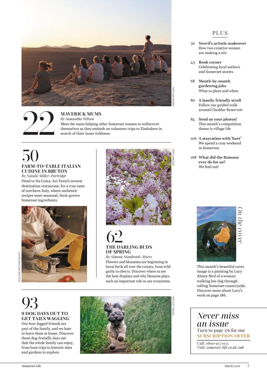 Somerset Life Preview Pages