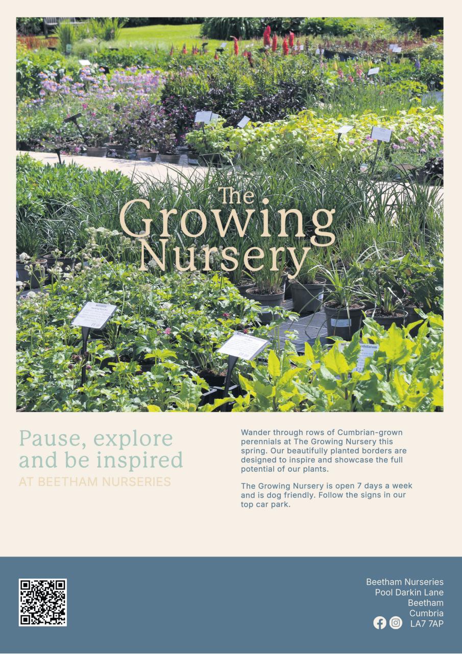 Cumbria Life Preview Pages