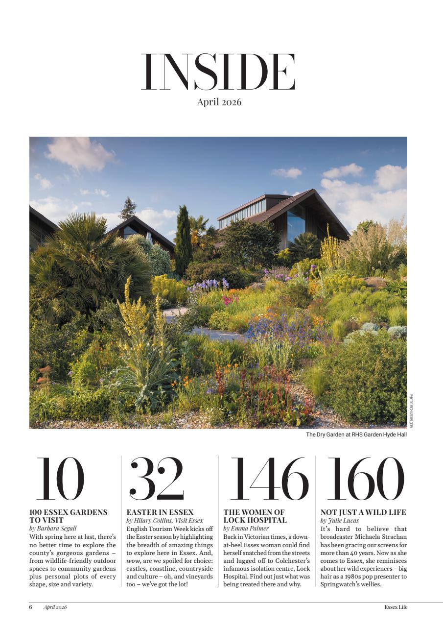 Essex Life Preview Pages