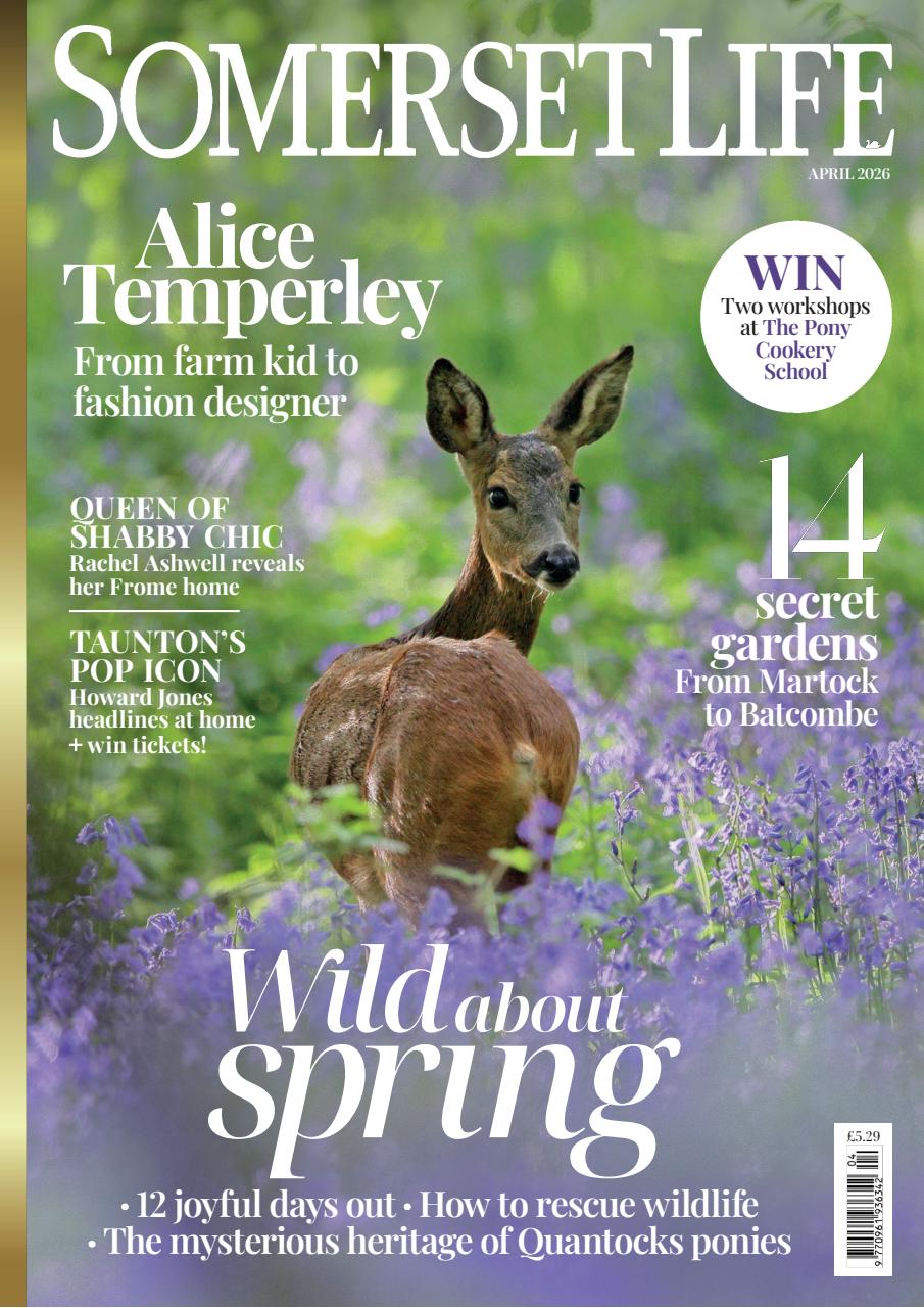 Somerset Life Preview Pages
