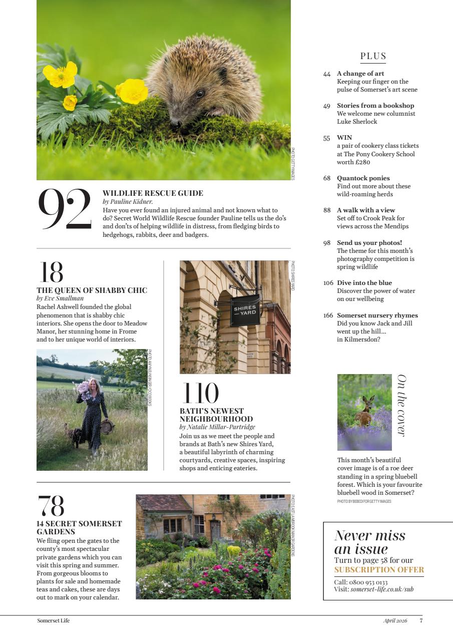 Somerset Life Preview Pages