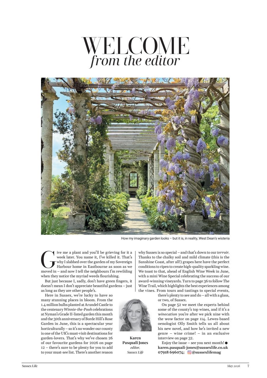 Sussex Life Preview Pages