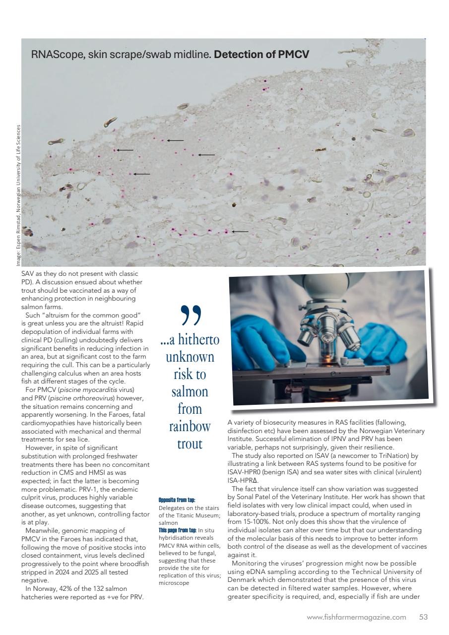 Fish Farmer Magazine Preview Pages