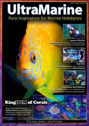 UltraMarine Magazine Complete Your Collection Cover 1