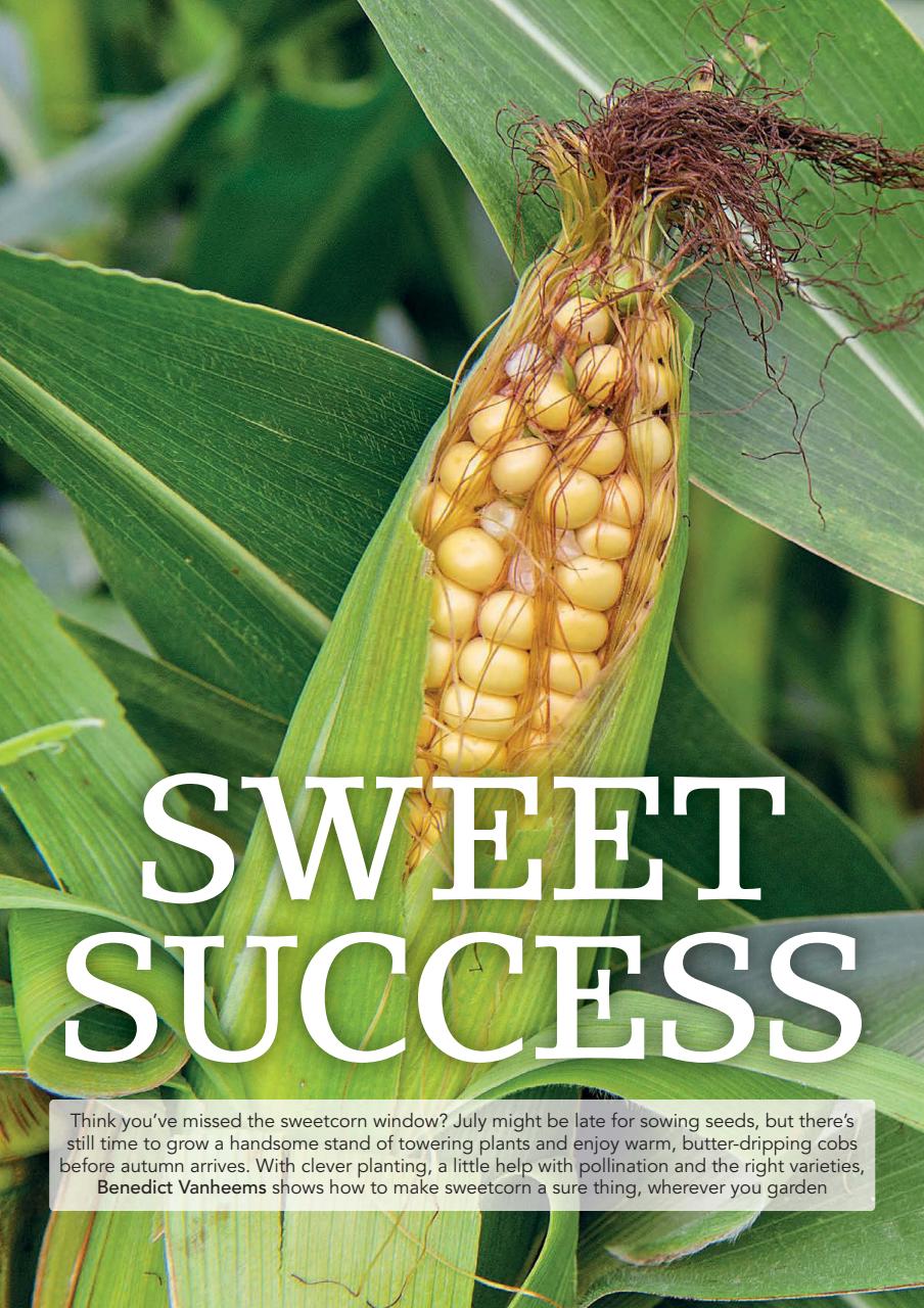 Kitchen Garden Magazine Preview Pages