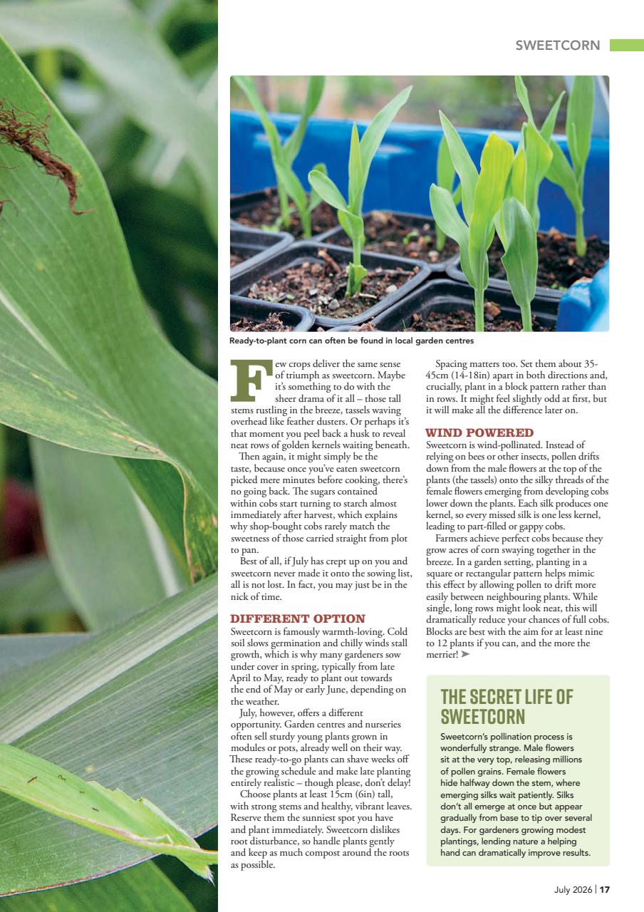 Kitchen Garden Magazine Preview Pages