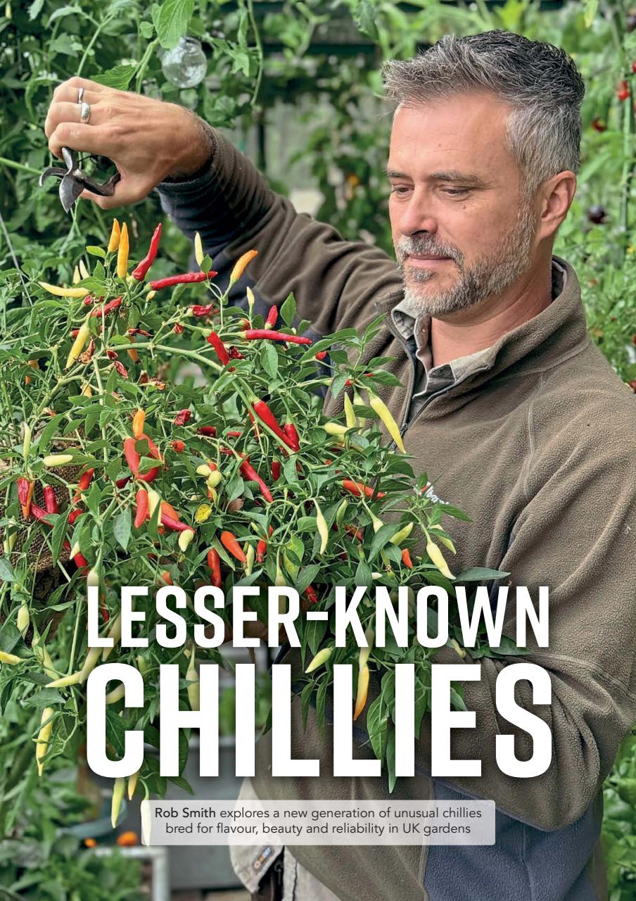 Kitchen Garden Magazine Preview Pages