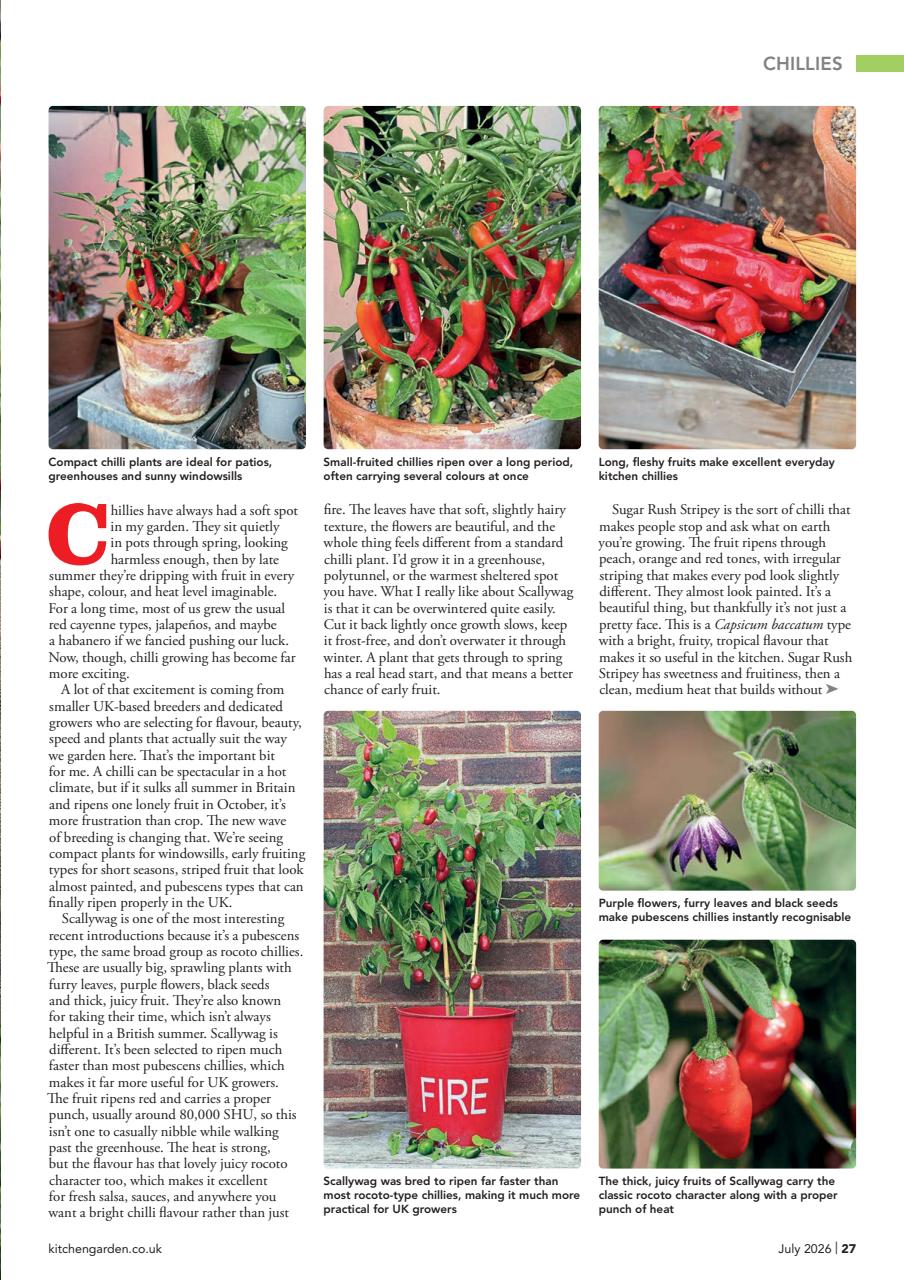 Kitchen Garden Magazine Preview Pages