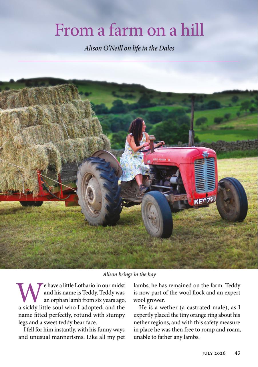 The Yorkshire Dalesman Preview Pages