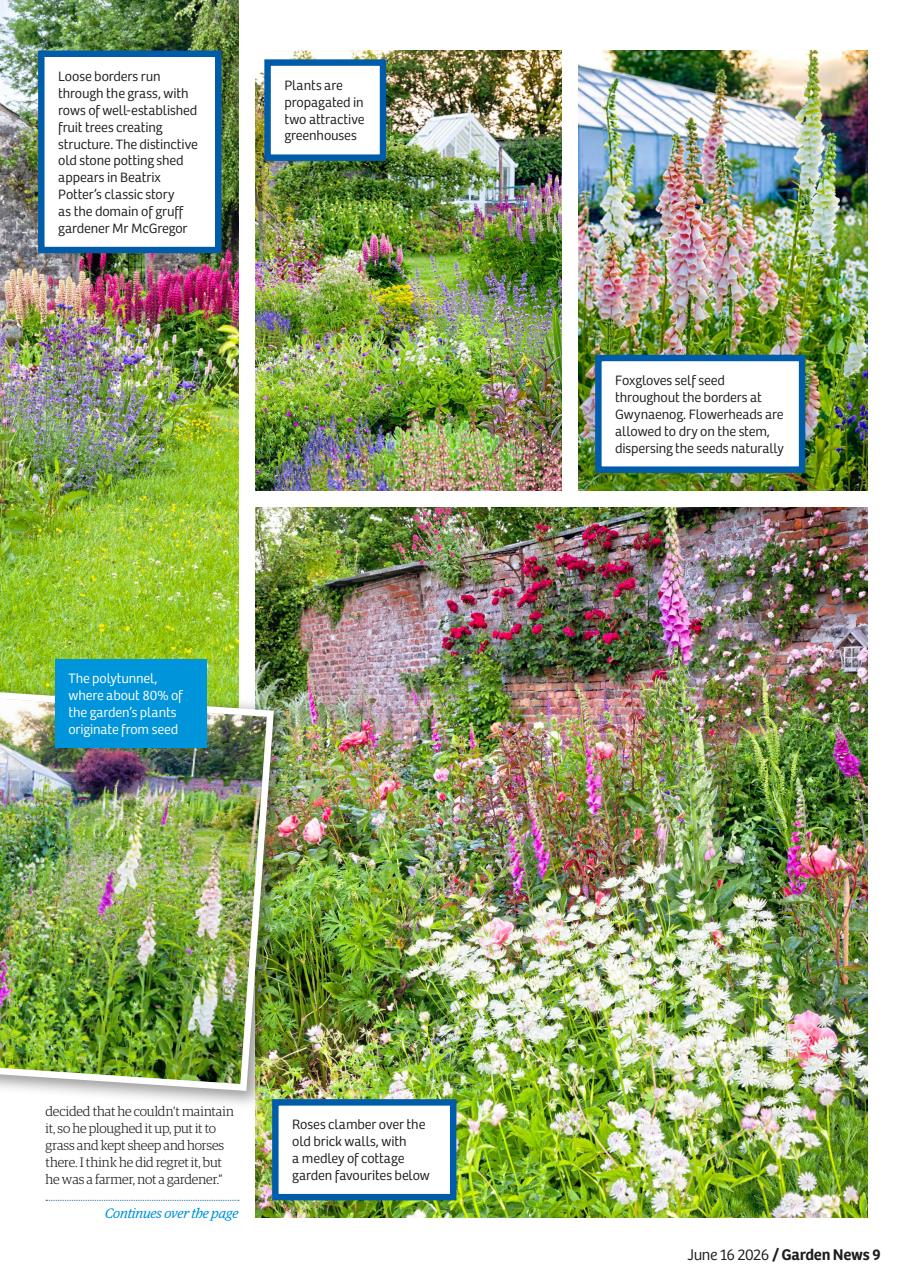 Garden News Preview Pages