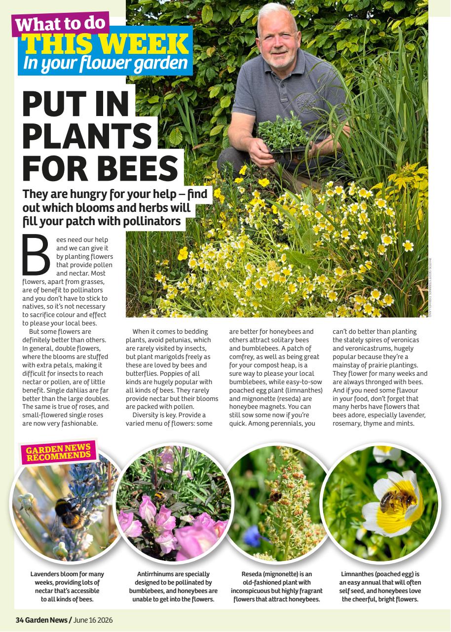 Garden News Preview Pages