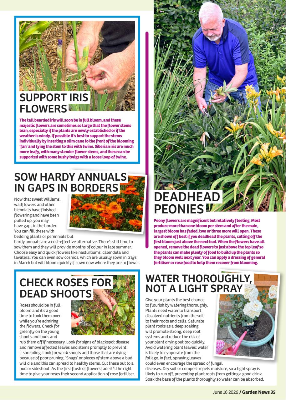 Garden News Preview Pages