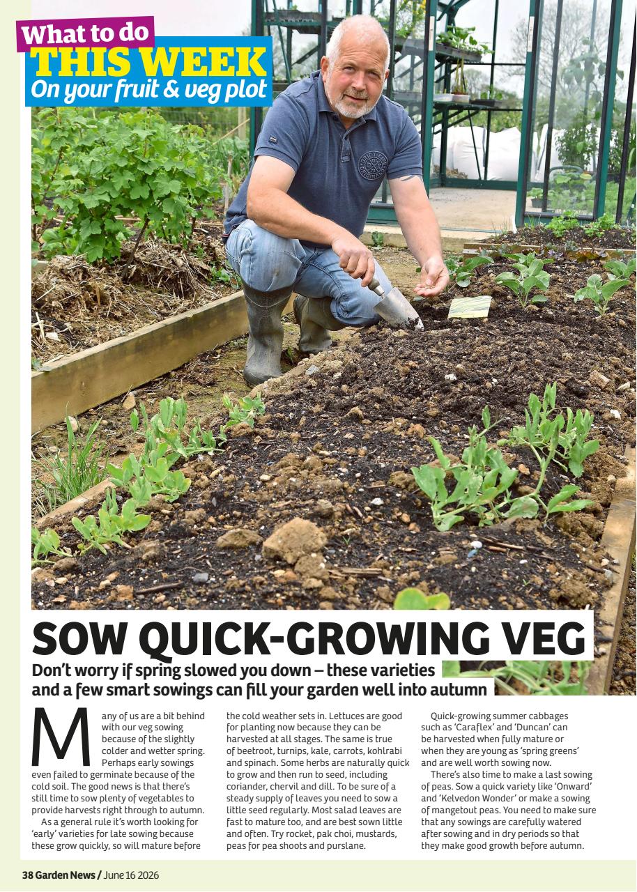 Garden News Preview Pages