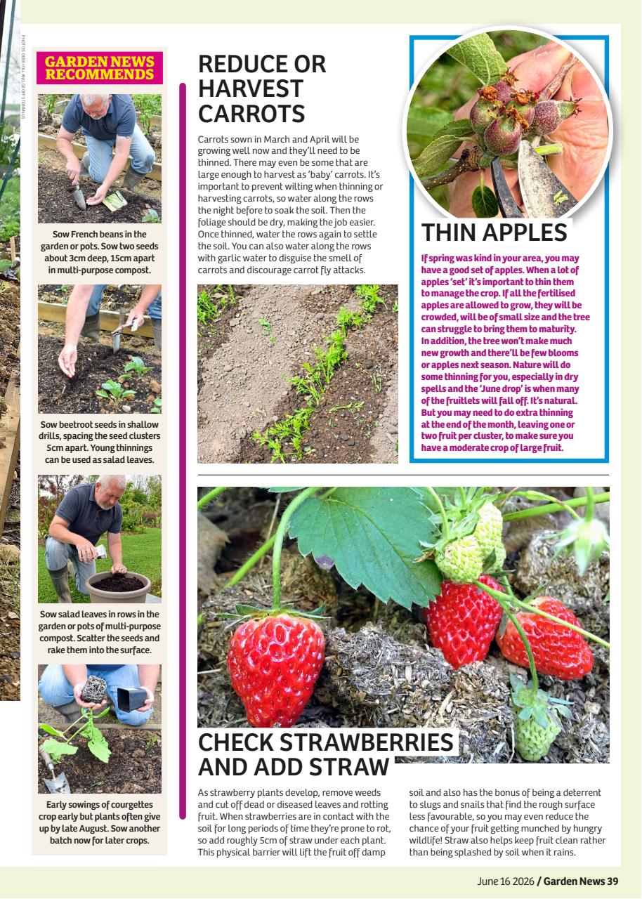 Garden News Preview Pages