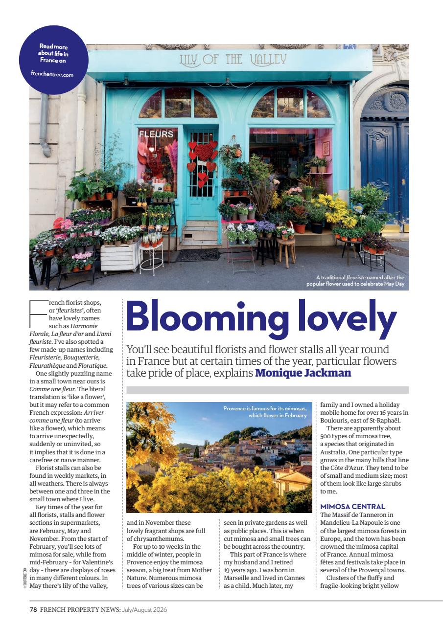 French Property News Preview Pages