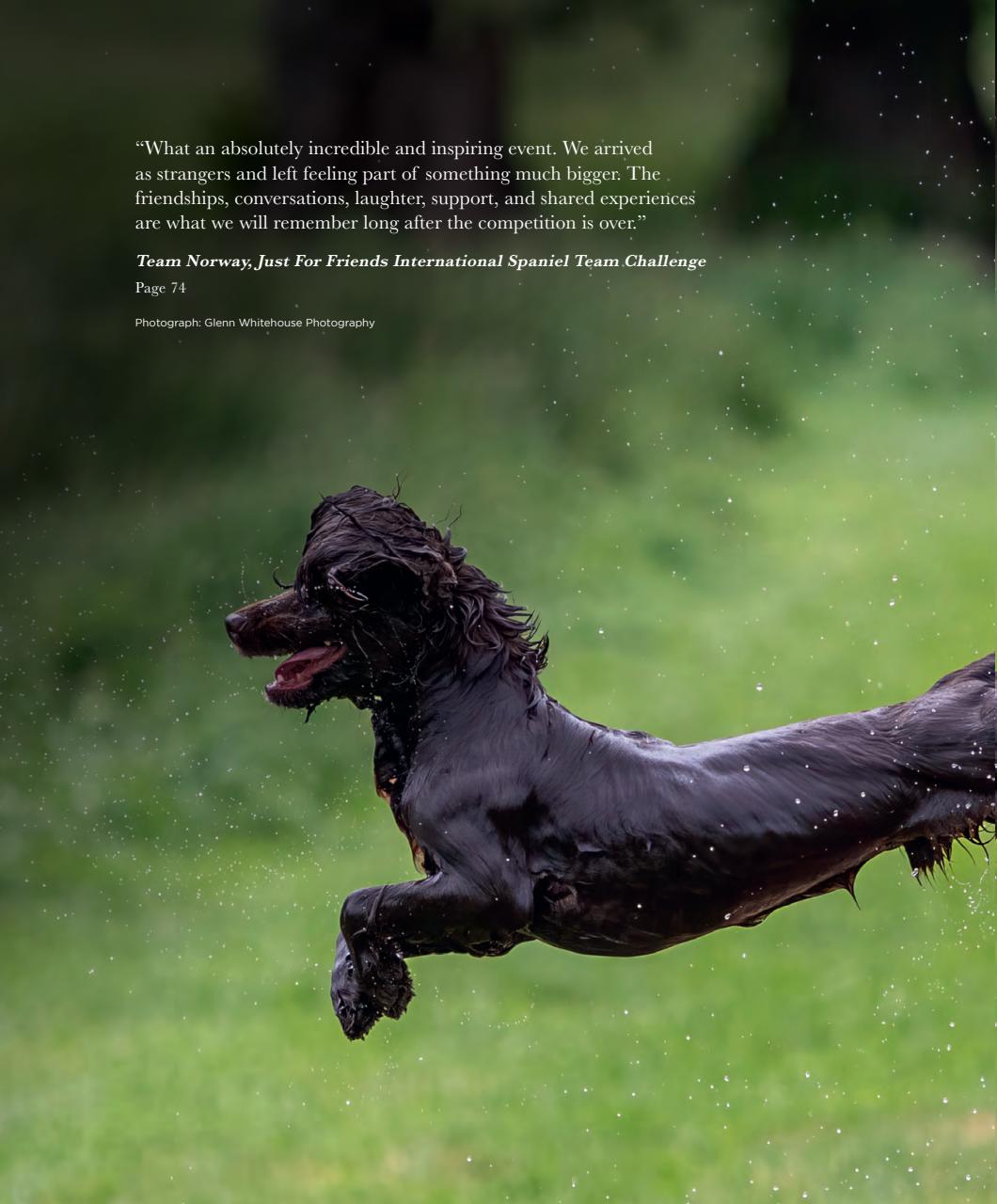Gundog Journal Preview Pages