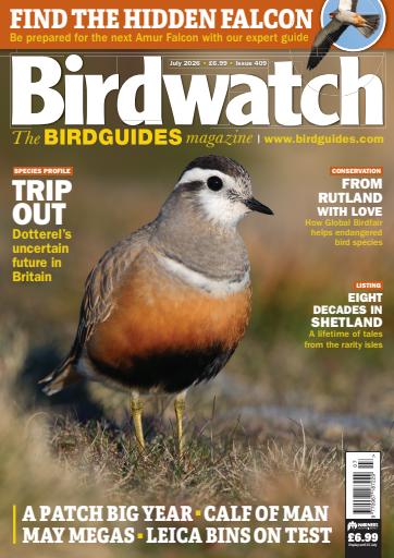 Birdwatch Magazine issue 