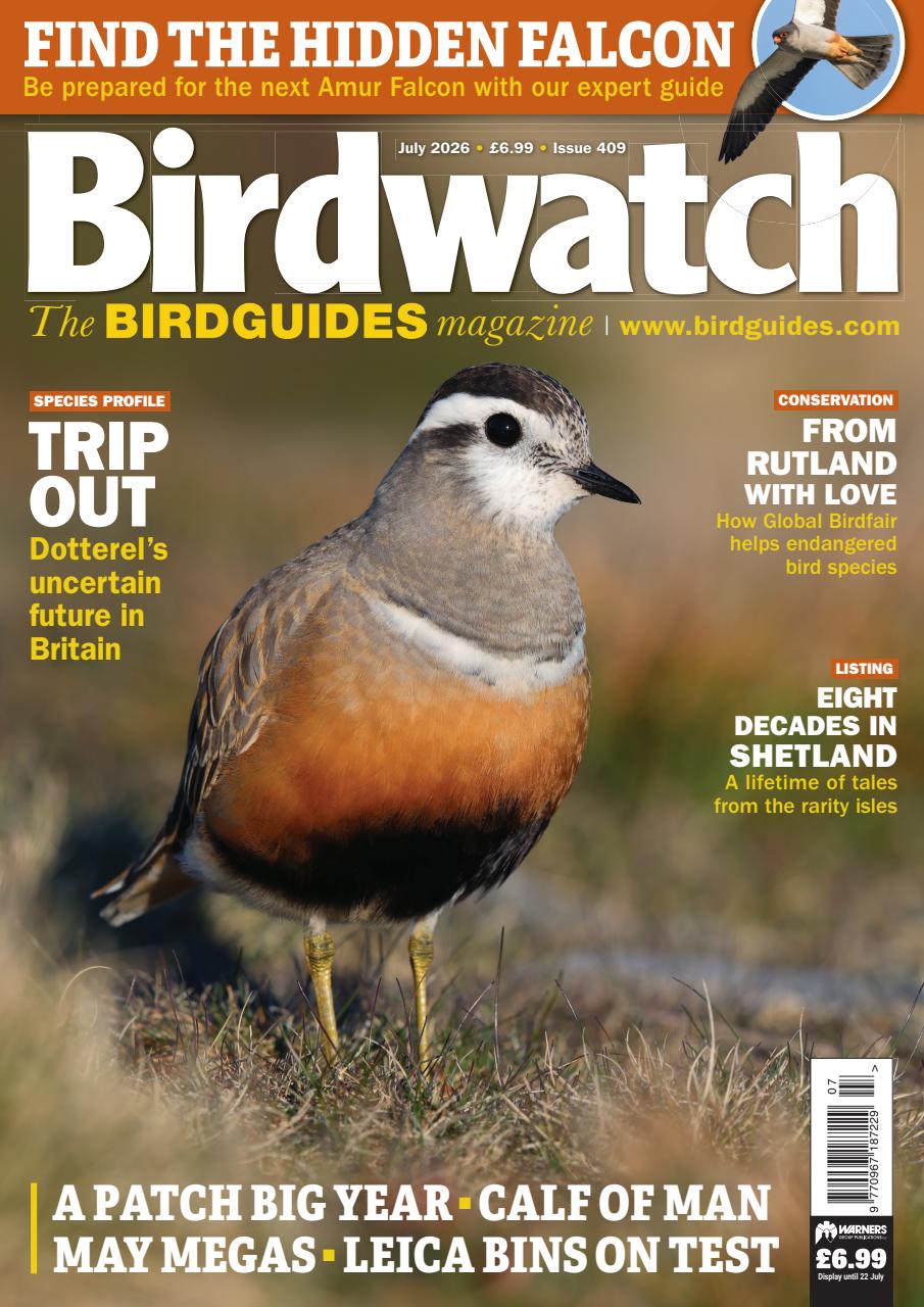 Birdwatch Magazine Preview Pages