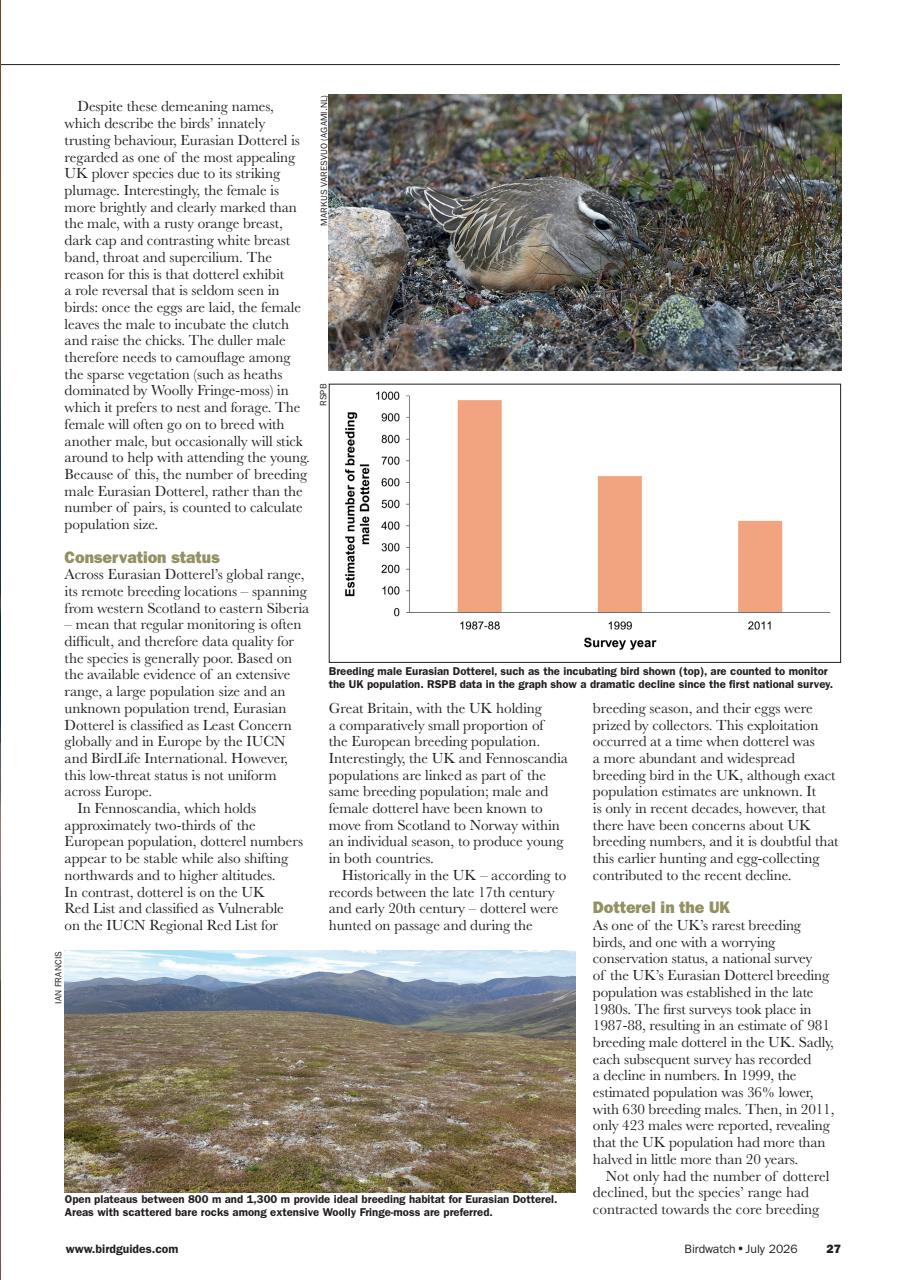 Birdwatch Magazine Preview Pages
