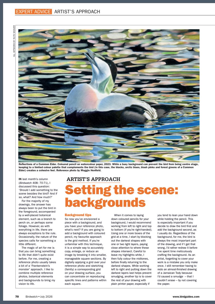 Birdwatch Magazine Preview Pages
