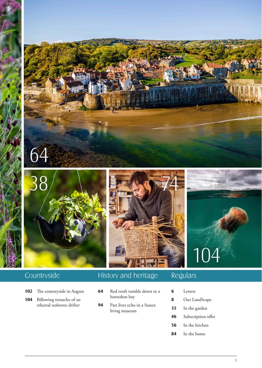 LandScape Preview Pages