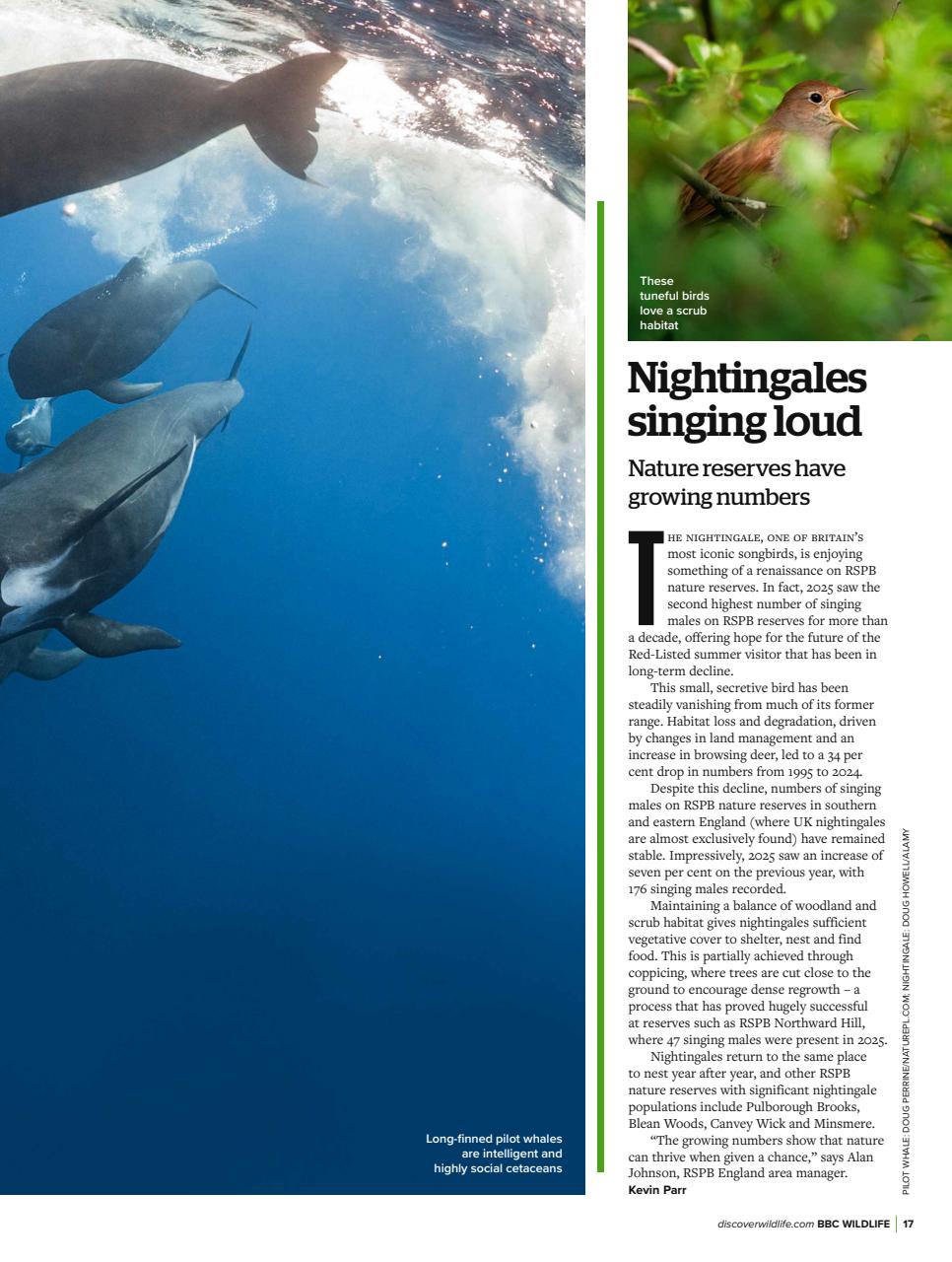 BBC Wildlife Magazine Preview Pages